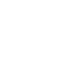 Scout
