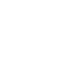 Sleuth