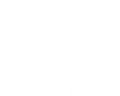 Sentinel